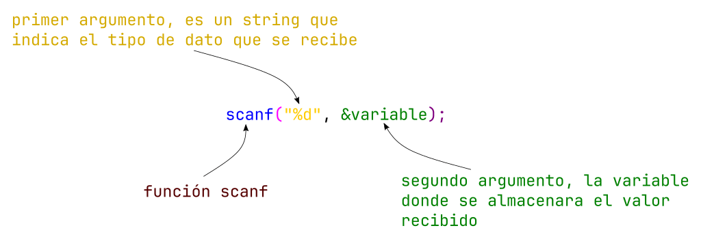scanf